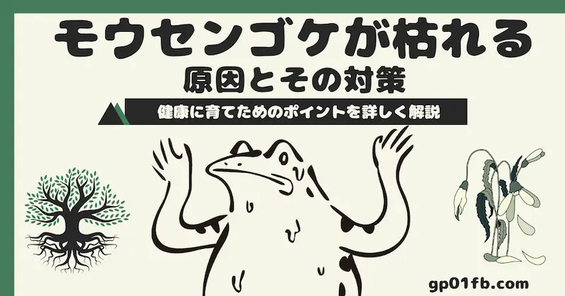 モウセンゴケが枯れる原因とその対策：健康に育てるためのポイントを詳しく解説