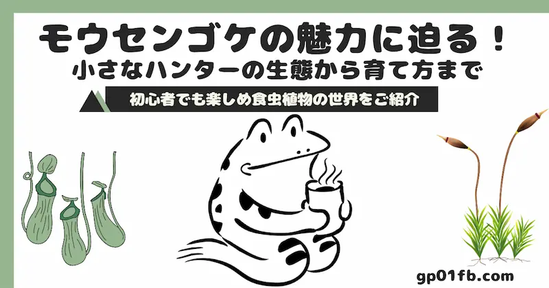 モウセンゴケの魅力に迫る！小さなハンターの生態から育て方まで、初心者でも楽しめる食虫植物の世界をご紹介